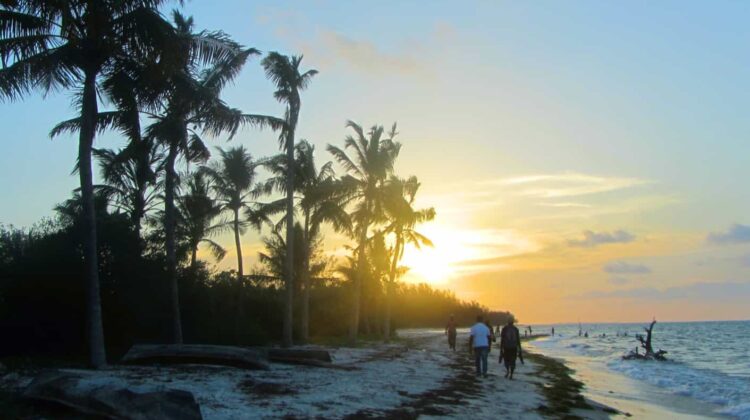 Visit the Marimbani Sandbank