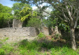 Visit the ruins of the city of Kua