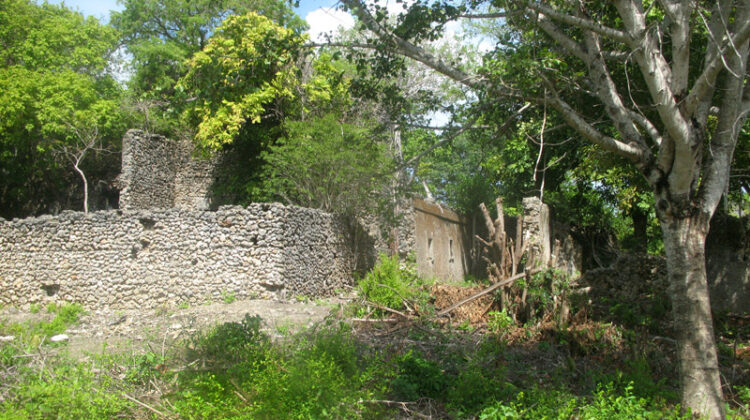Visit the ruins of the city of Kua
