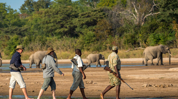 Walking safari in Tarangire National Park