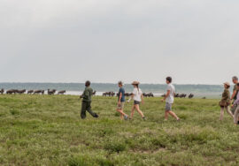 Walking safari inside Lake Manyara National Park